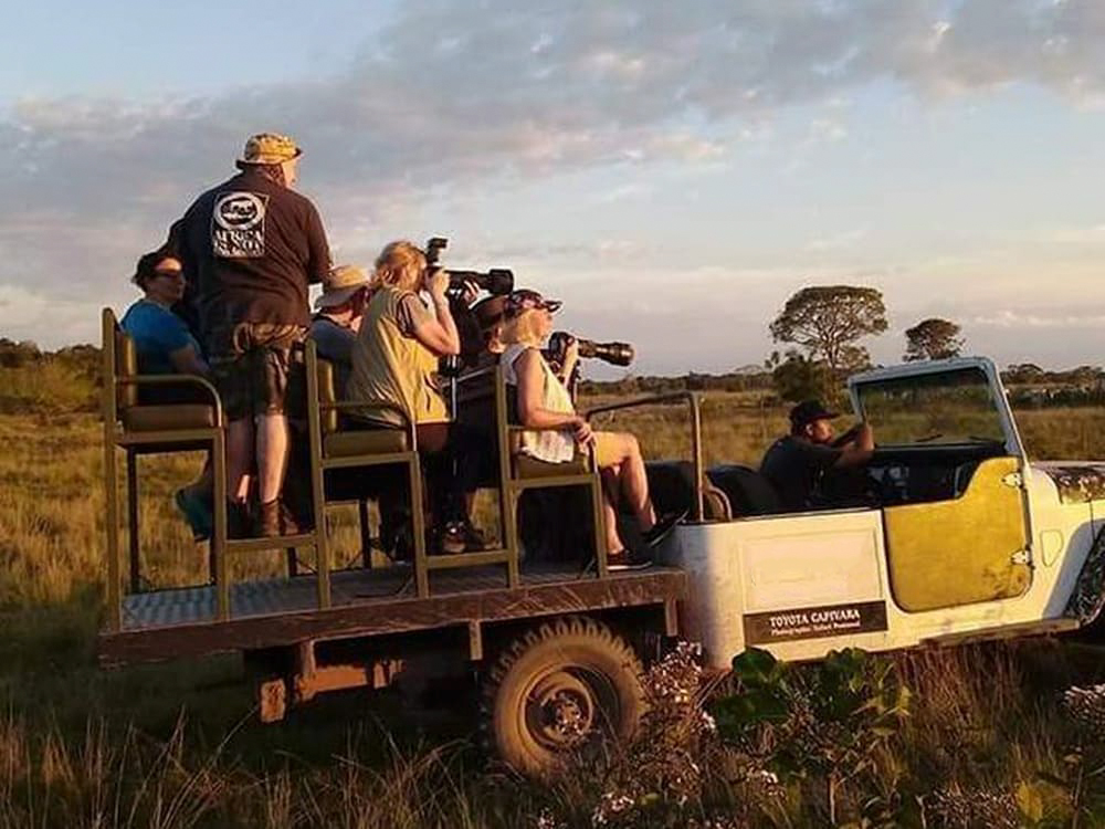 visita guiada ao pantanal