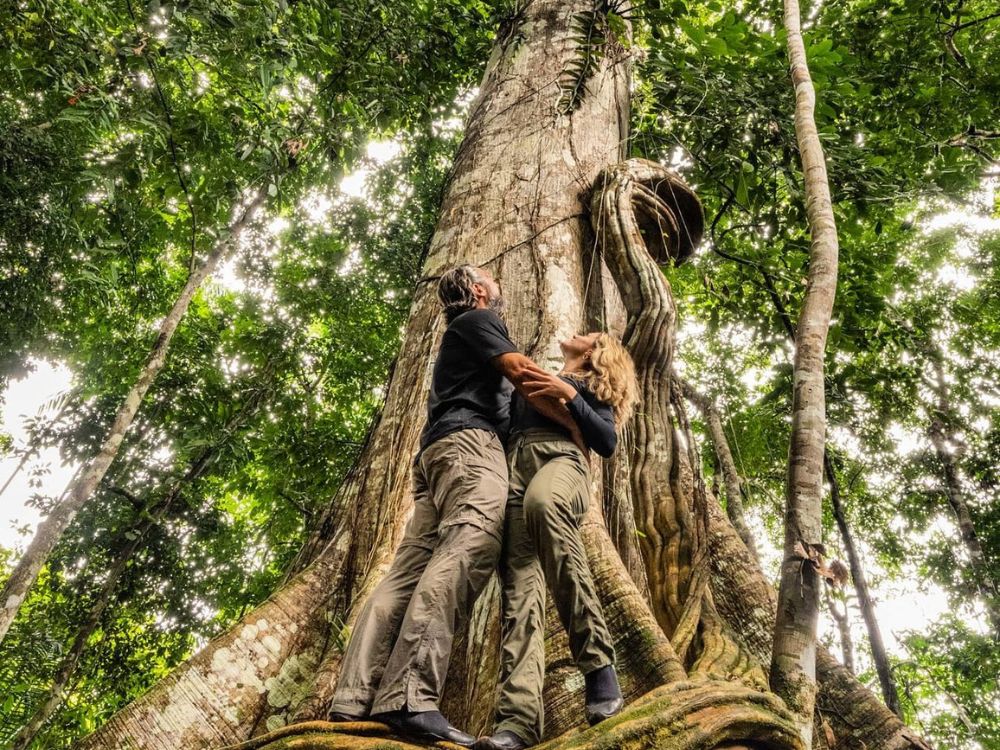 Amazon - Top 7 Ecotourism Destinations in Brazil to Visit in 2024