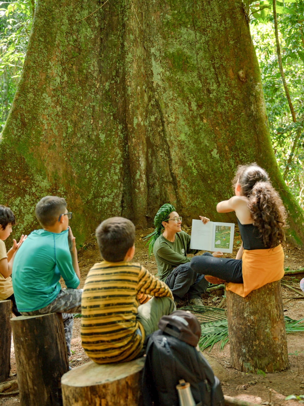 Cristalino Lodge - Amazônia