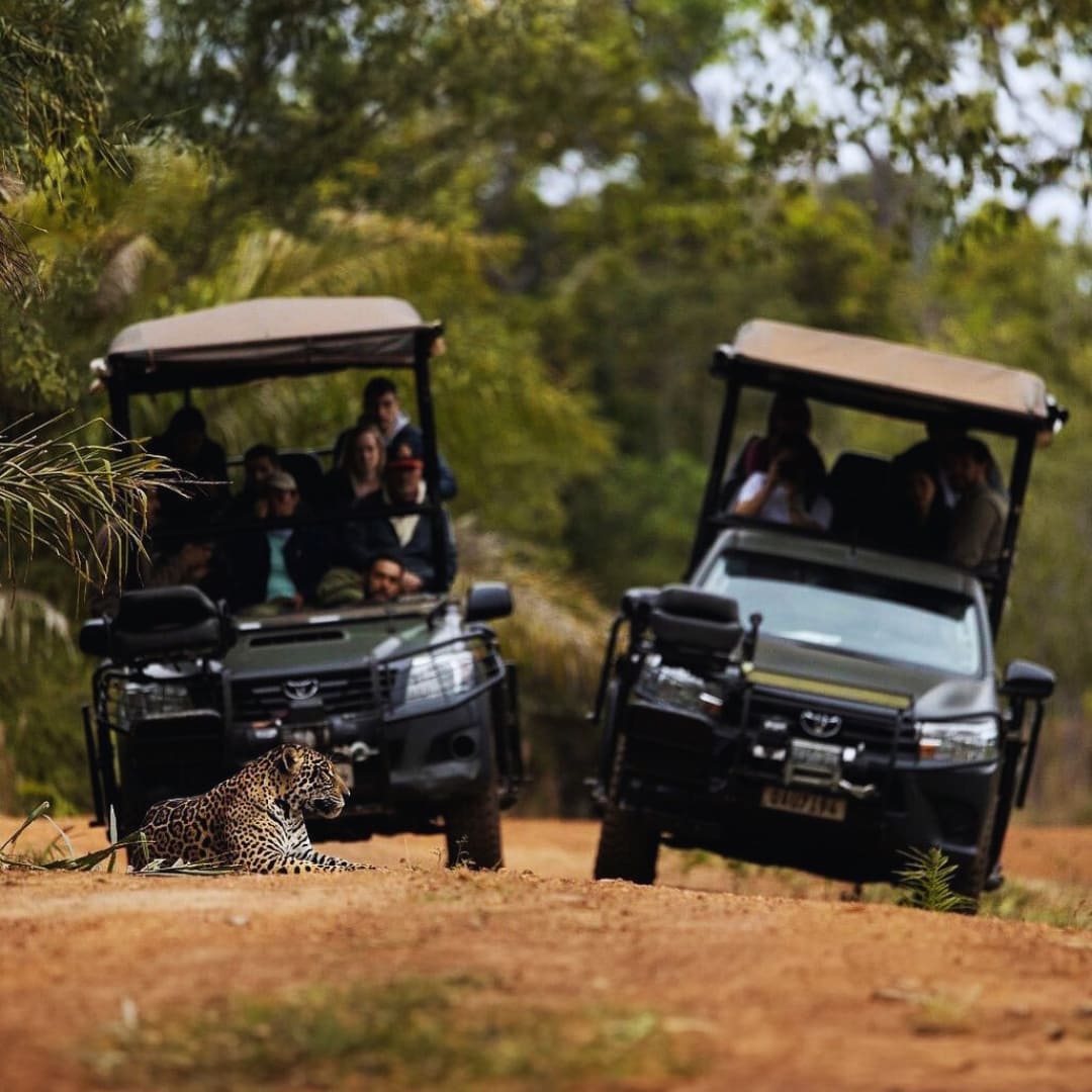 Creating Economic Incentives for Conservation in Pantanal