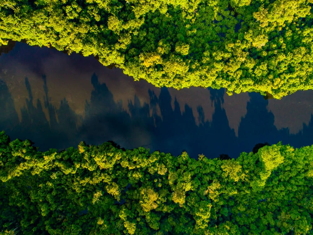 An aerial view shows the dark waters of the Rio Negro cutting through the lush green canopy of the Amazon rainforest. An aerial view shows the dark waters of the Rio Negro cutting through the lush green canopy of the Amazon rainforest.