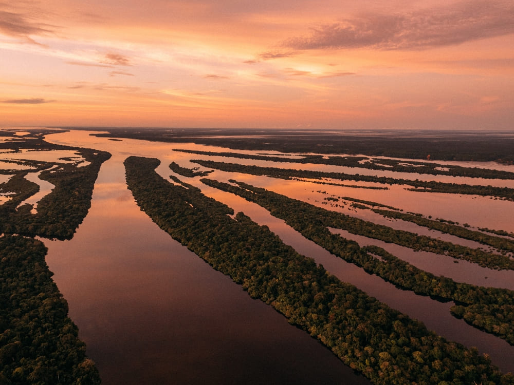 A vibrant sunset reflects over the complex network of islands and waters in the Anavilhanas archipelago. A vibrant sunset reflects over the complex network of islands and waters in the Anavilhanas archipelago.