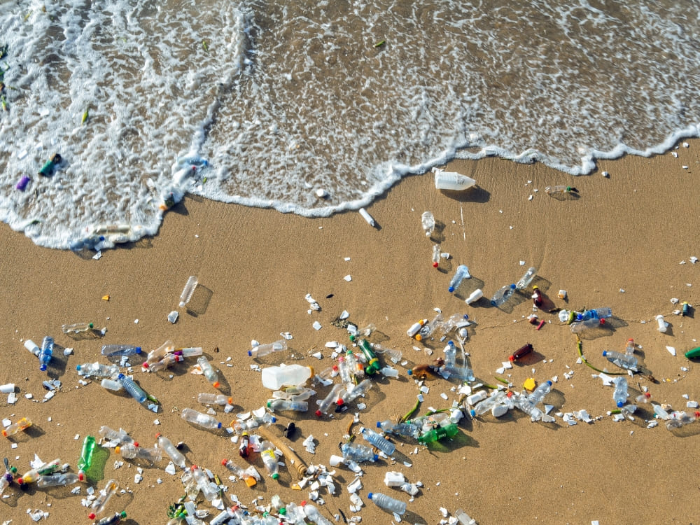 Fernando de Noronha Plastic-free