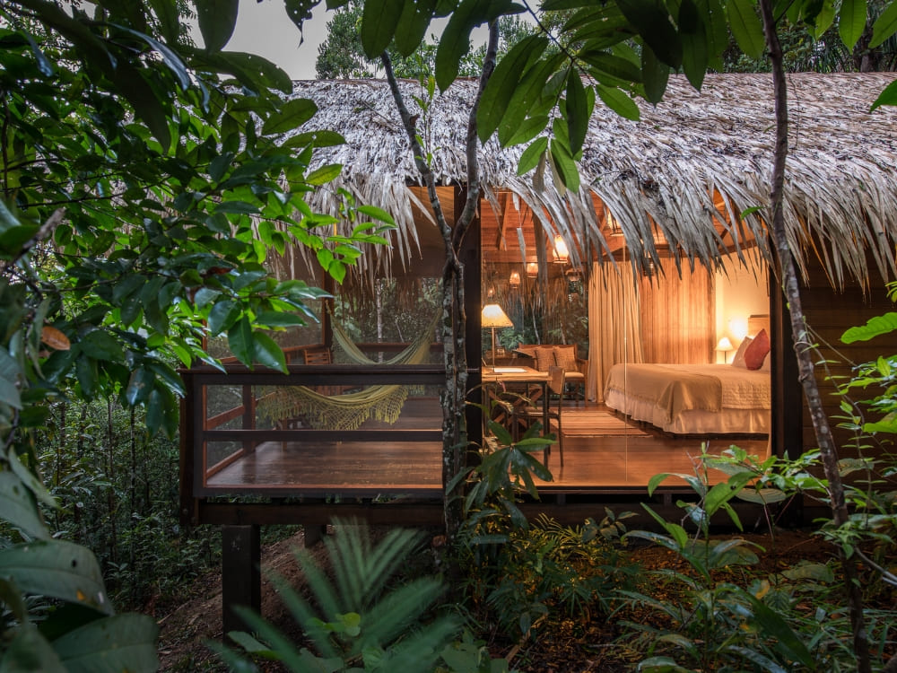 A luxury thatched-roof bungalow with warm interior lighting sits nestled among lush green trees at the Anavilhanas Jungle Lodge. A luxury thatched-roof bungalow with warm interior lighting sits nestled among lush green trees at the Anavilhanas Jungle Lodge.