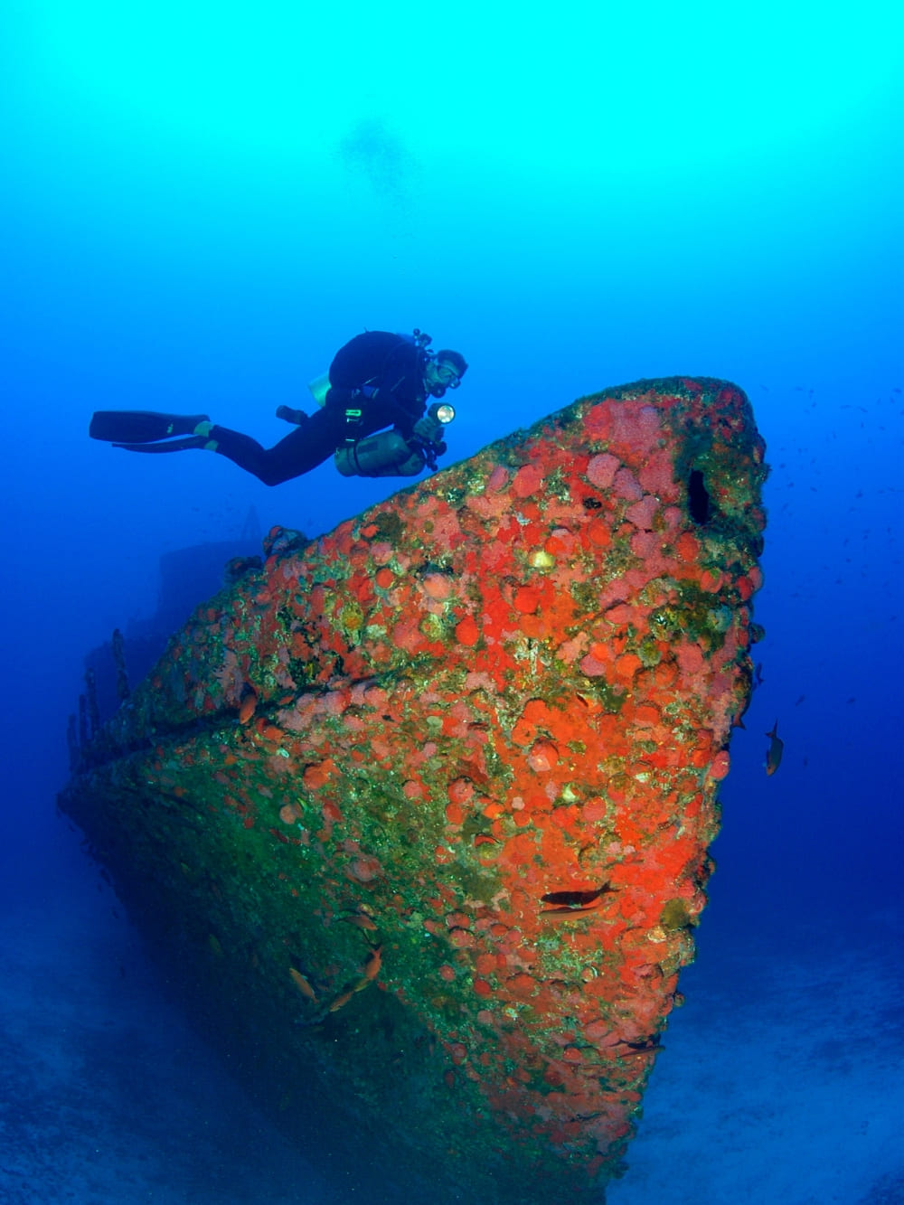 Dive in Fernando de Noronha