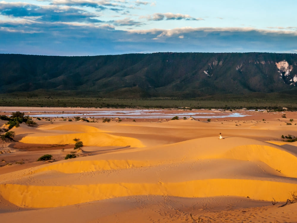 Golden sand dunes at sunset showcasing the remote beauty of Jalapão, where sand dunes rise in the middle of the savanna. Golden sand dunes at sunset showcasing the remote beauty of Jalapão, where sand dunes rise in the middle of the savanna.