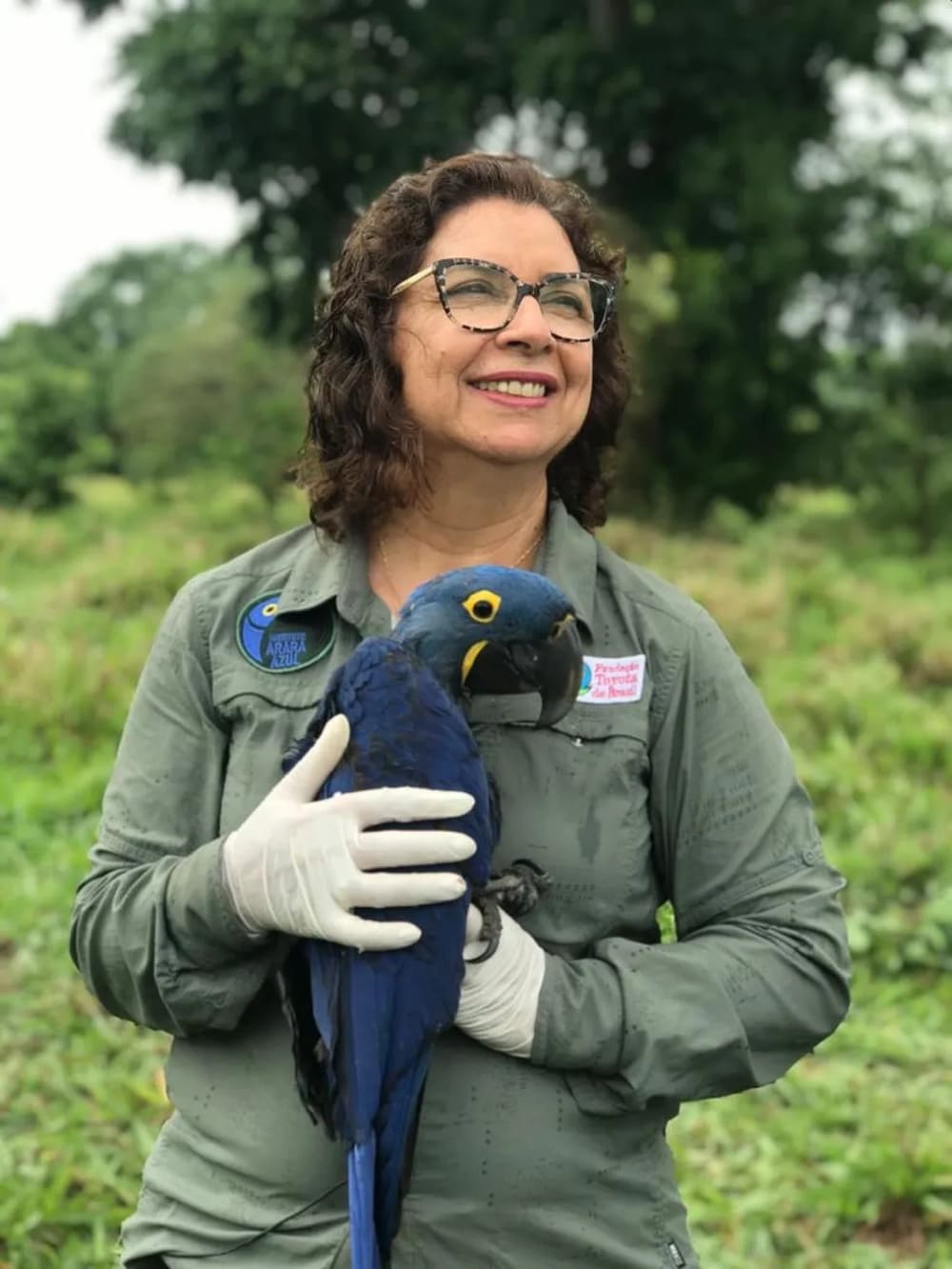 Biologist Neiva Guedes smiles while gently holding a blue hyacinth macaw outdoors. Biologist Neiva Guedes smiles while gently holding a blue hyacinth macaw outdoors.