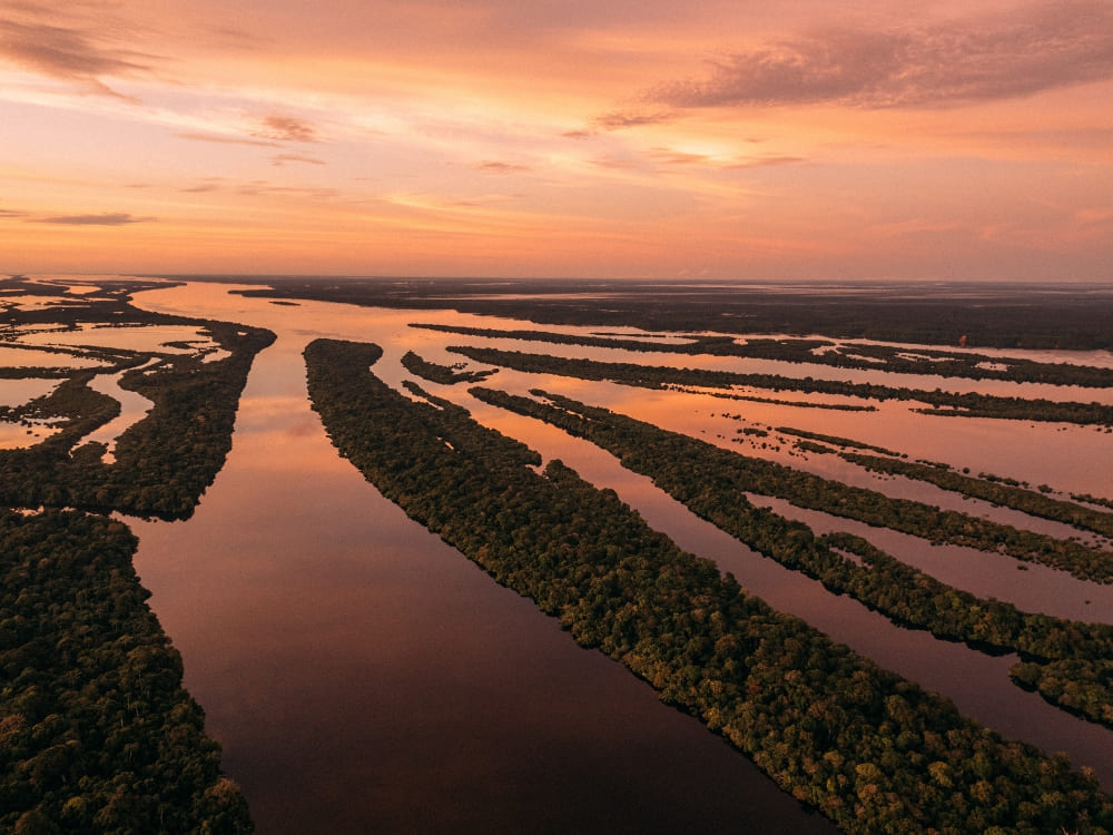 Aerial view of the labyrinthine islands and narrow channels of the Anavilhanas Archipelago on the Rio Negro. Aerial view of the labyrinthine islands and narrow channels of the Anavilhanas Archipelago on the Rio Negro.