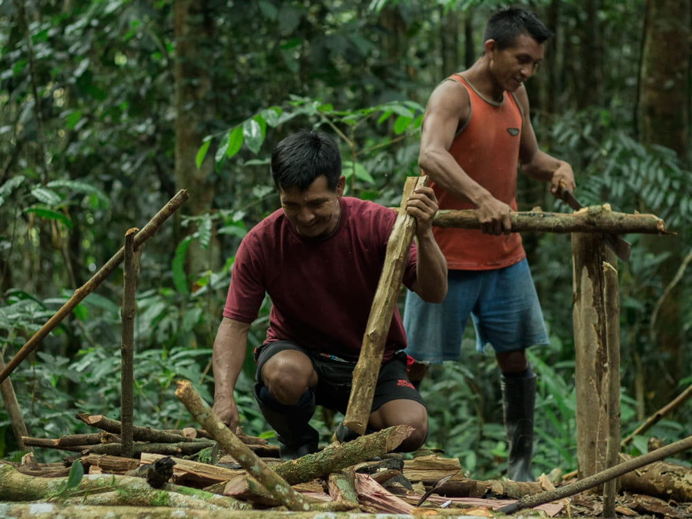 Two local guides building a wooden structure during a jungle survival tour in the Amazon. Two local guides building a wooden structure during a jungle survival tour in the Amazon.