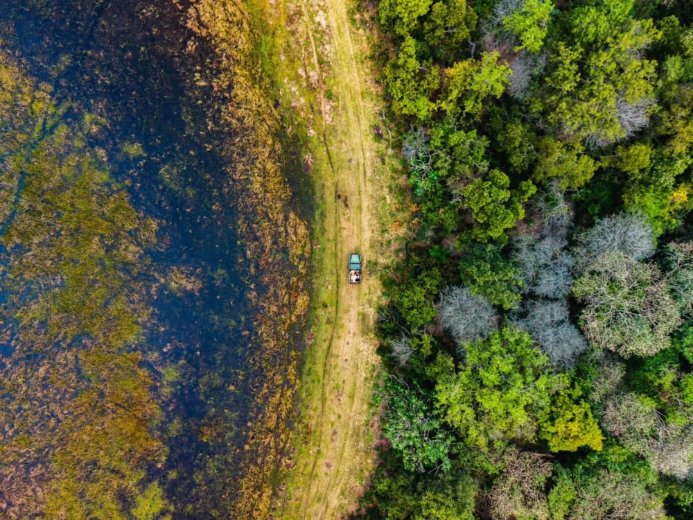 Aerial view of a safari vehicle driving on a dirt track between a wetland area and dense green forest in North Pantanal. Aerial view of a safari vehicle driving on a dirt track between a wetland area and dense green forest in North Pantanal.