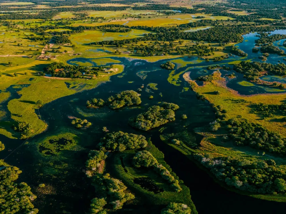 Winding rivers and open green savannas dominate the remote landscape of the Southern Pantanal near Baía das Pedras. Winding rivers and open green savannas dominate the remote landscape of the Southern Pantanal near Baía das Pedras.