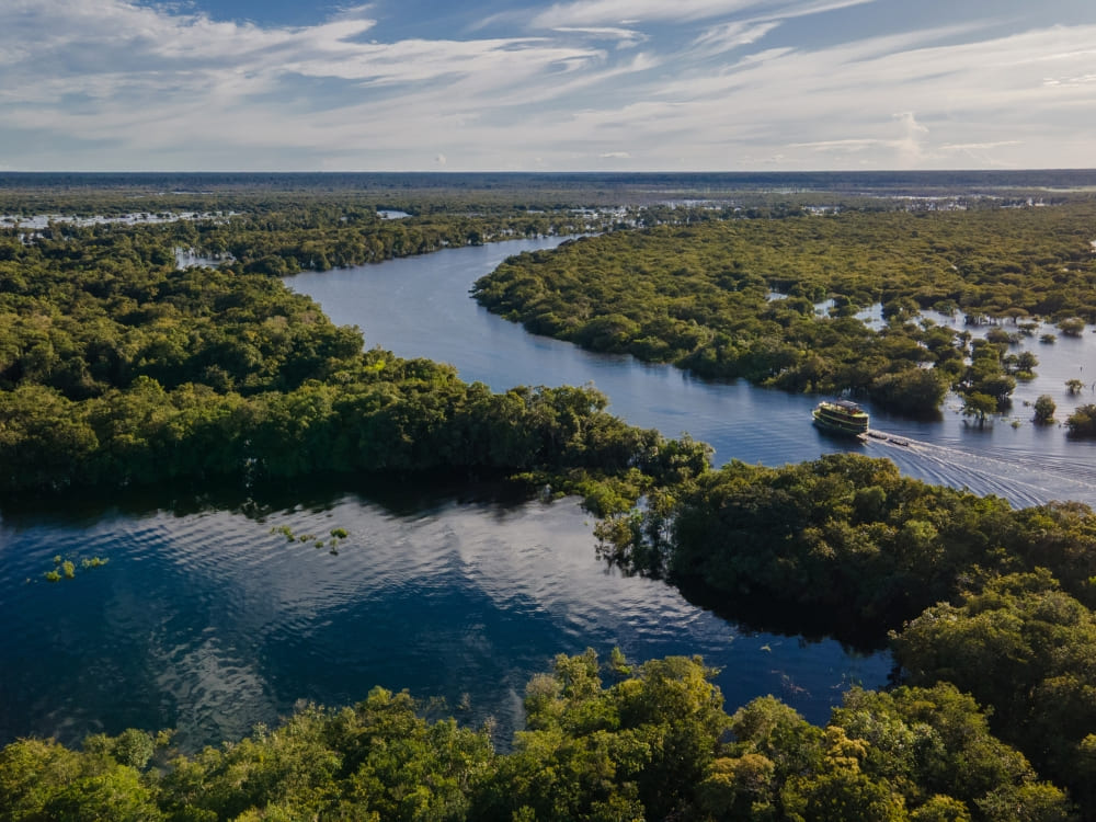 An aerial view of a winding river cutting through lush green vegetation, highlighting the beauty of Amazon rainforest ecotourism. An aerial view of a winding river cutting through lush green vegetation, highlighting the beauty of Amazon rainforest ecotourism.