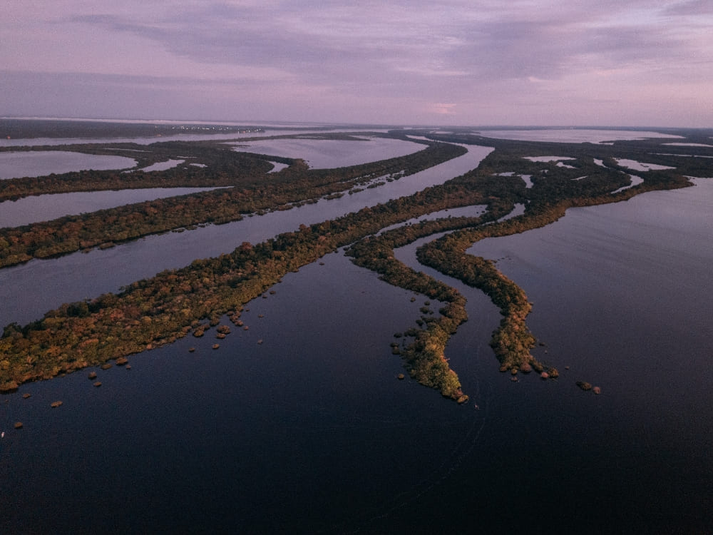 Aerial panorama of the Amazon river channels and lush green islands, highlighting the massive watershed and freshwater ecosystem of the basin. Aerial panorama of the Amazon river channels and lush green islands, highlighting the massive watershed and freshwater ecosystem of the basin.