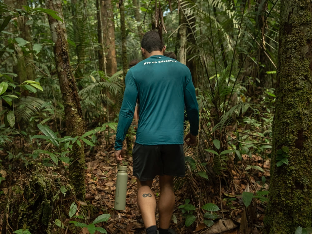 A traveler hikes through the dense green jungle, experiencing ecotourism in the Amazon firsthand. A traveler hikes through the dense green jungle, experiencing ecotourism in the Amazon firsthand.