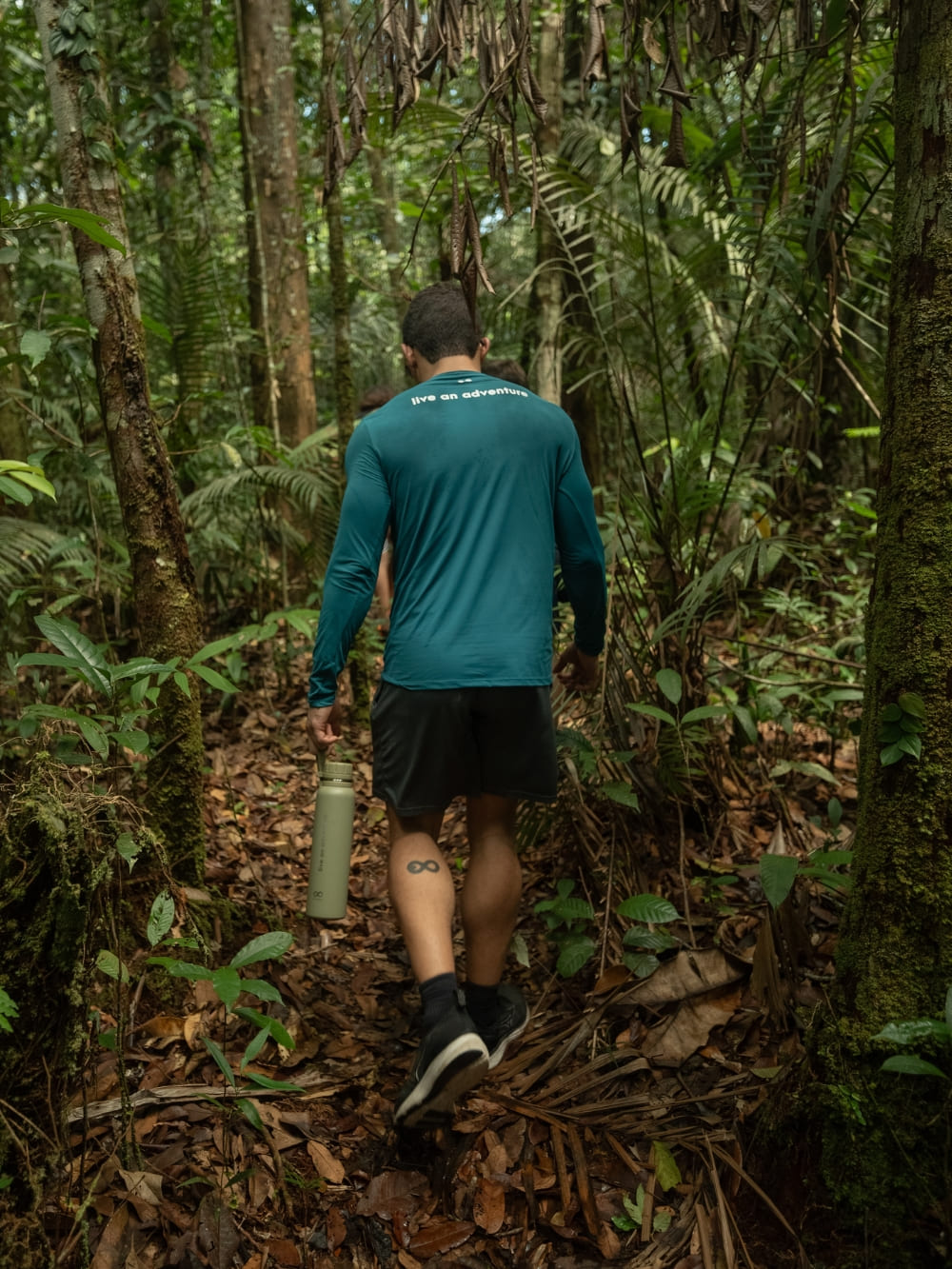 A traveler hiking along a forest trail surrounded by tall trees in the Amazon Rainforest, a typical dry season activity. A traveler hiking along a forest trail surrounded by tall trees in the Amazon Rainforest, a typical dry season activity.
