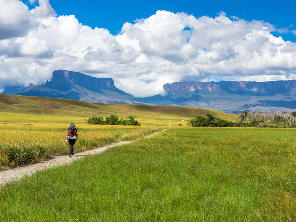 A backpacker hikes on a trail through a grassy savannah towards the majestic flat-top Mount Roraima.