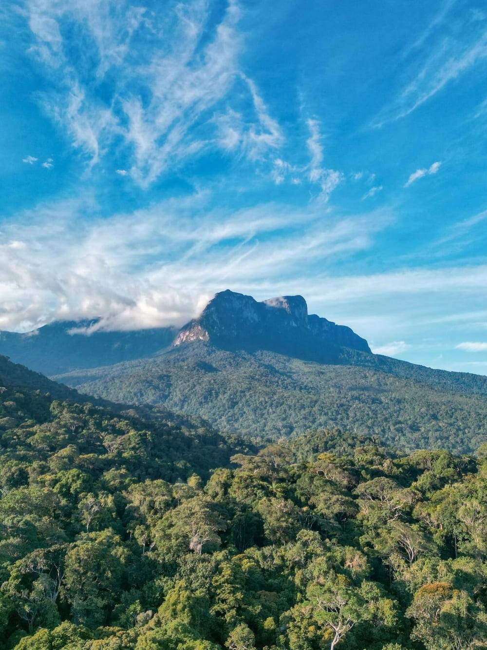 The massive peak of Pico da Neblina rising above an endless green expanse of Amazonian trees under a blue sky. The massive peak of Pico da Neblina rising above an endless green expanse of Amazonian trees under a blue sky.