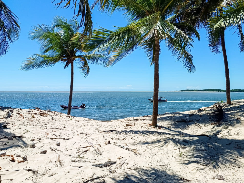  Tall palm trees cast shadows on a white beach overlooking calm ocean waters where boats cruise, showing how to get to Lençóis Maranhenses. 