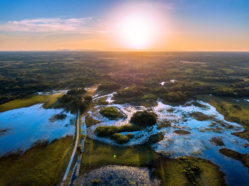 Aerial sunset view over the expansive wetlands and rivers of the Pantanal Matogrossense National Park. Aerial sunset view over the expansive wetlands and rivers of the Pantanal Matogrossense National Park.