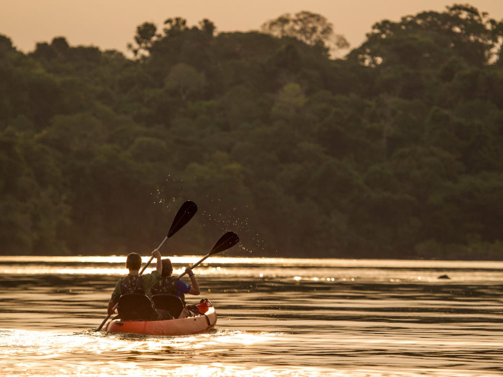 Two people paddling a kayak on the Amazon River during a golden sunset. Two people paddling a kayak on the Amazon River during a golden sunset.