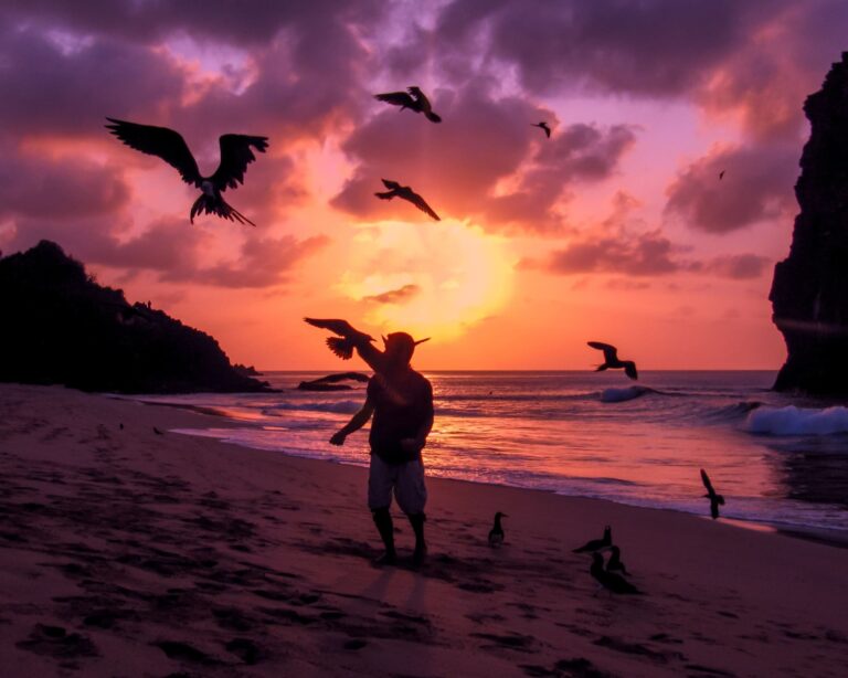 Die 15 besten Ökotourismus-Reiseziele in Brasilien, die Sie 2026 erkunden sollten Die 15 besten Ökotourismus-Reiseziele in Brasilien, die Sie 2026 erkunden sollten
