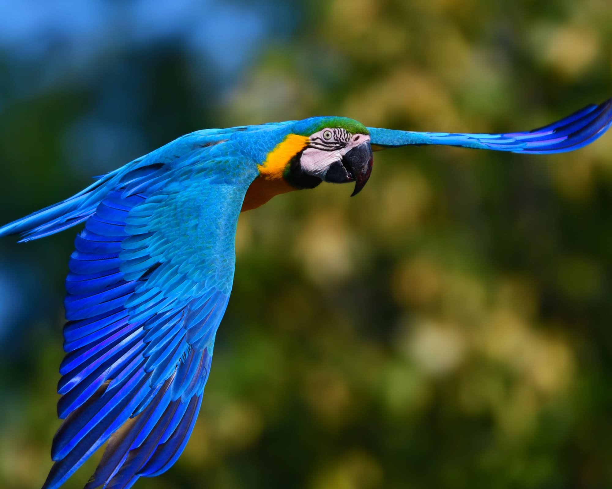 How Many Days Should You Spend in the Amazon?