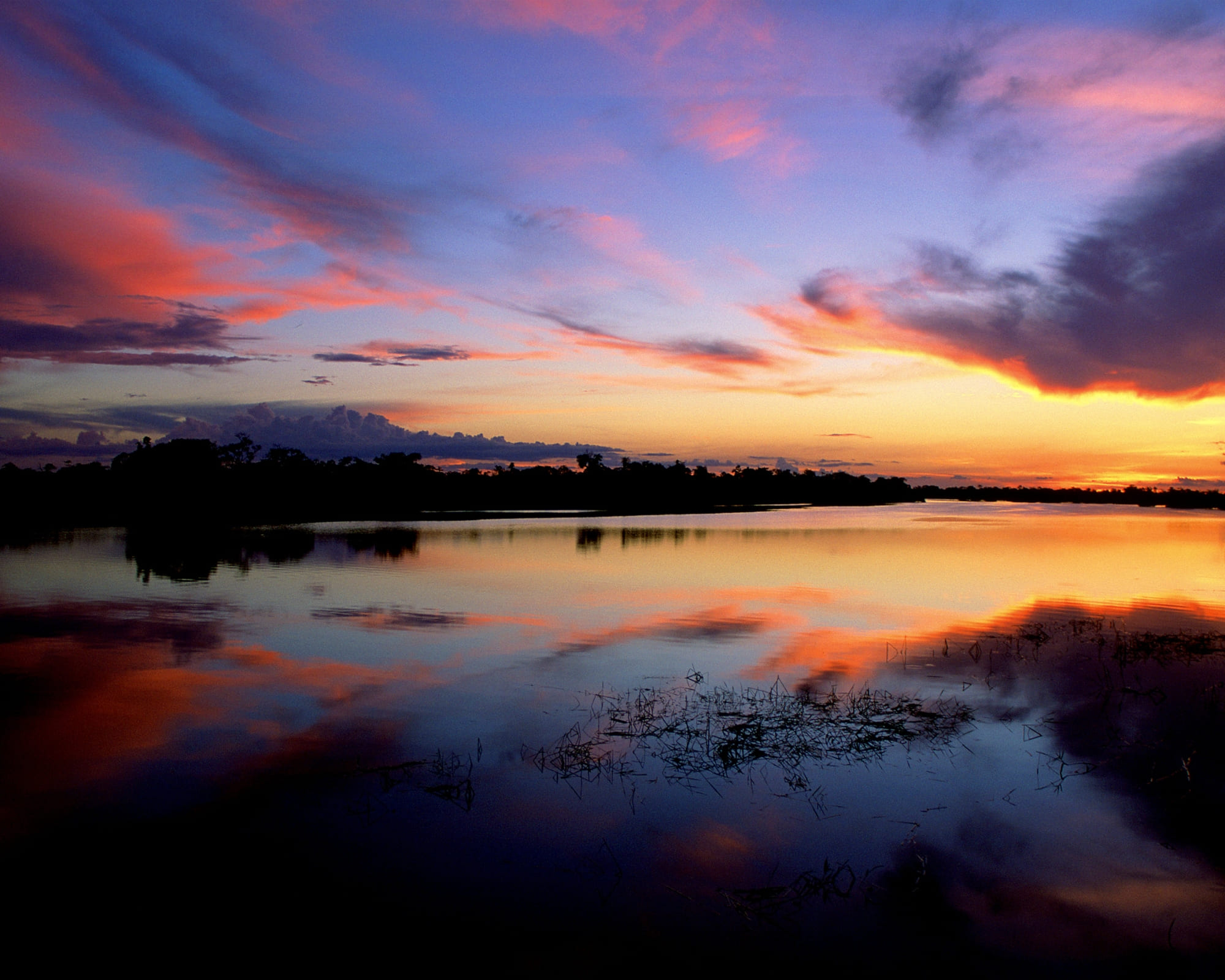 Jaú National Park: In the heart of the Amazon, Brazil