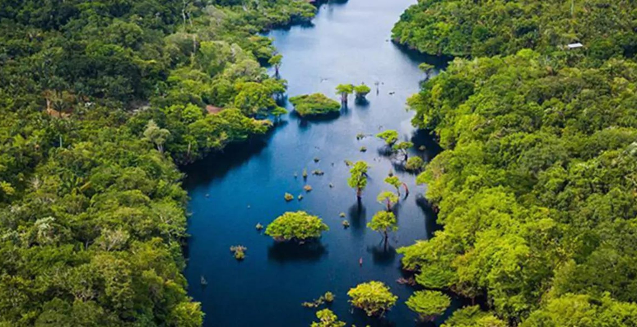 3-day Amazon Jungle Adventure in Brazil
