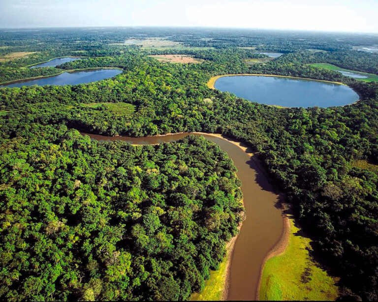 Wann ist die Beste Reisezeit Für das Pantanal? Wann ist die Beste Reisezeit Für das Pantanal?
