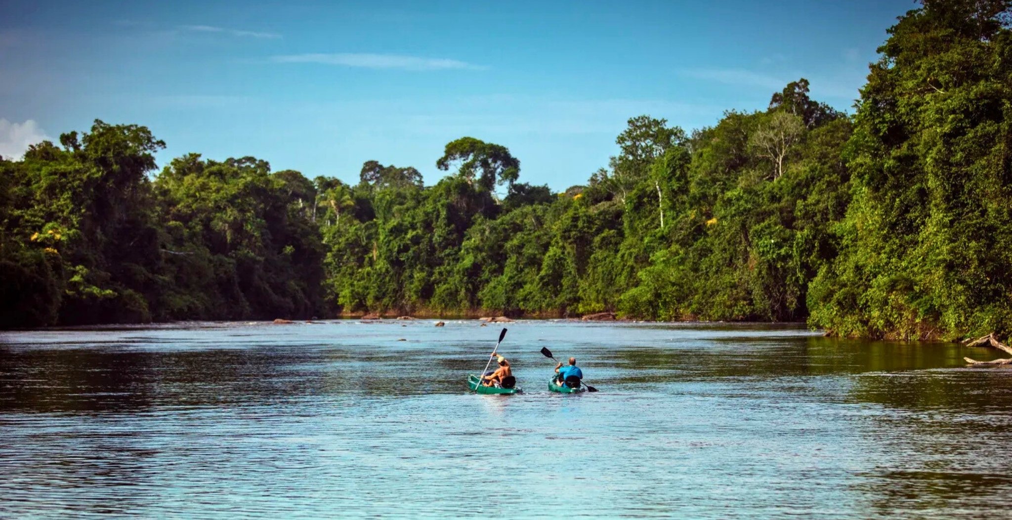 Cristalino Jungle Lodge: Your Gateway to the Amazon Sanctuary