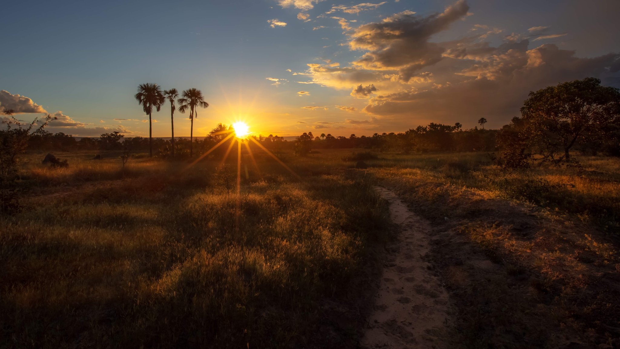 5-day Jalapão Adventure in Brazil