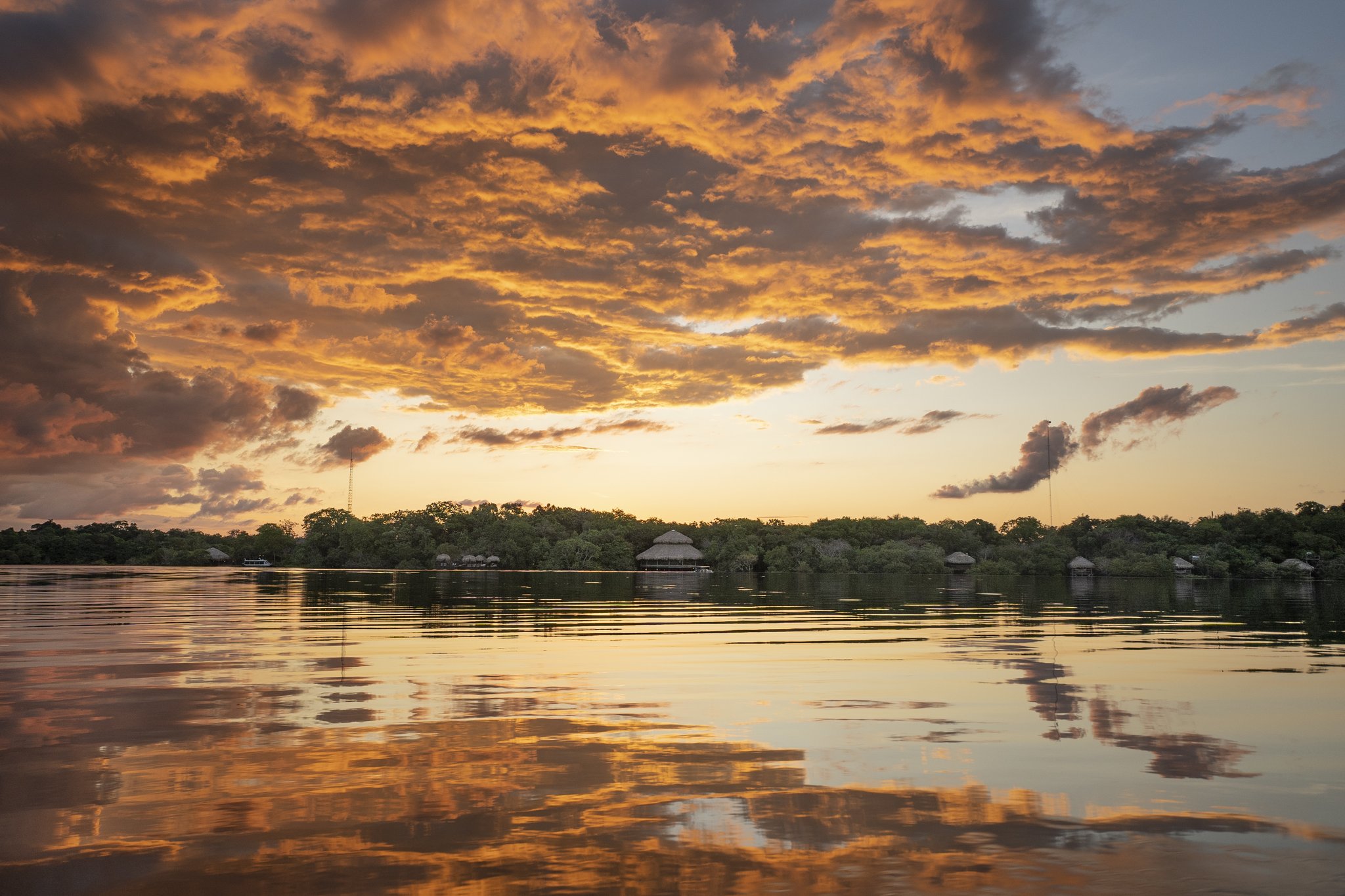 Juma Amazon Jungle Lodge from Manaus
