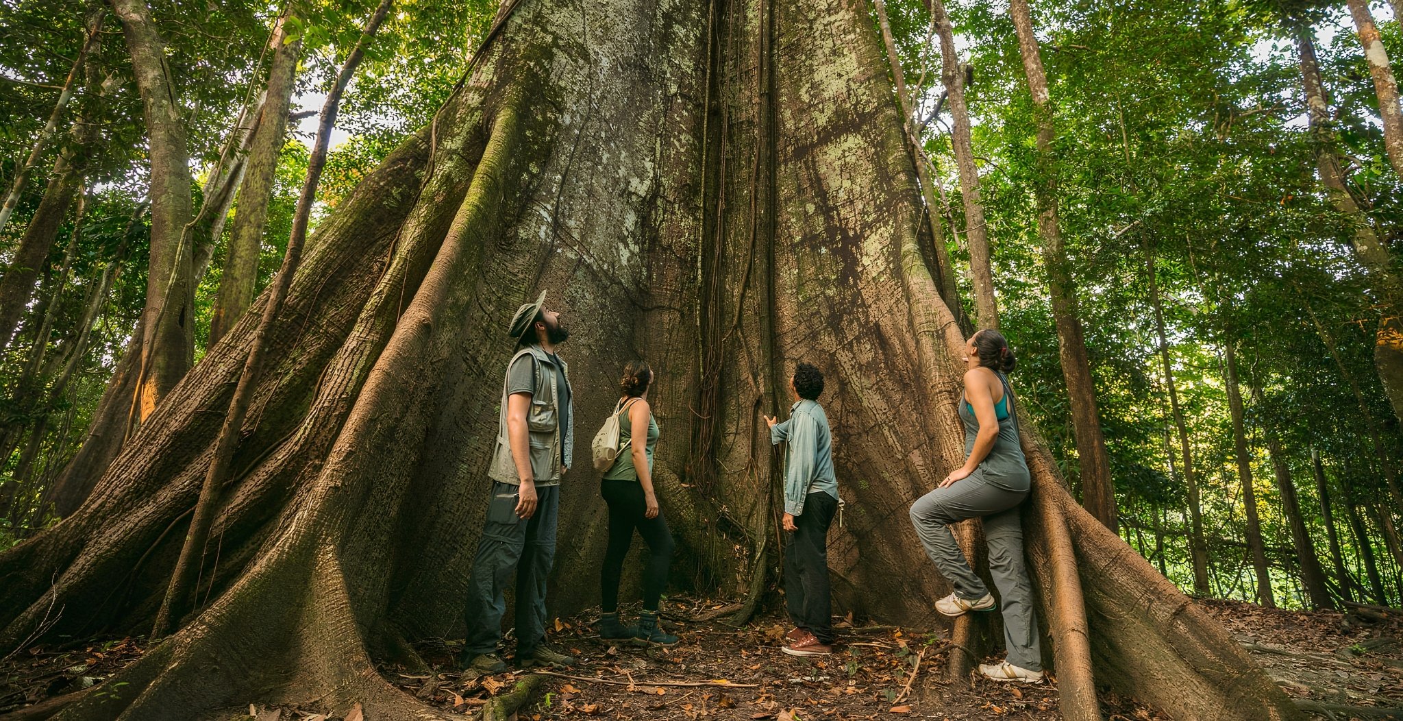 3-day Amazon Jungle Tour from Manaus, Brazil