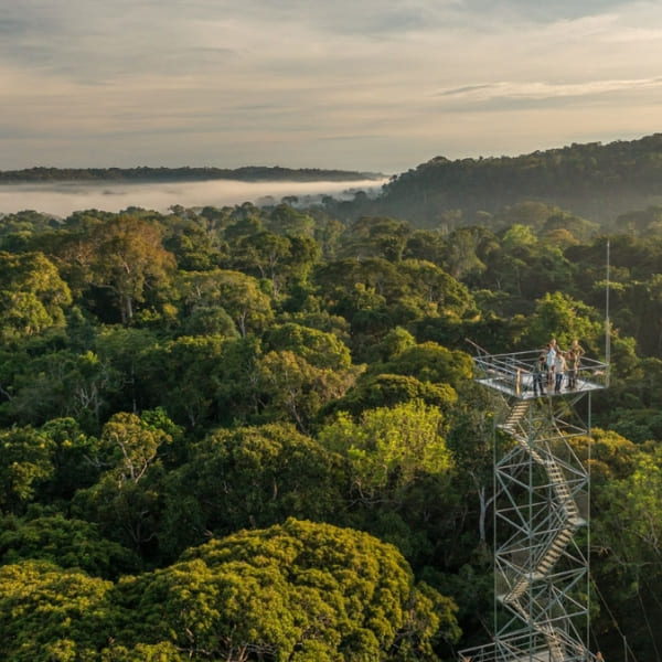 People standing atop a tall observation tower rising above the misty Amazon rainforest canopy at dawn.