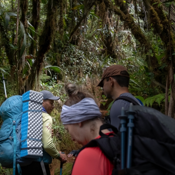 Trekkers atravessando a floresta nublada a caminho do Monte Roraima