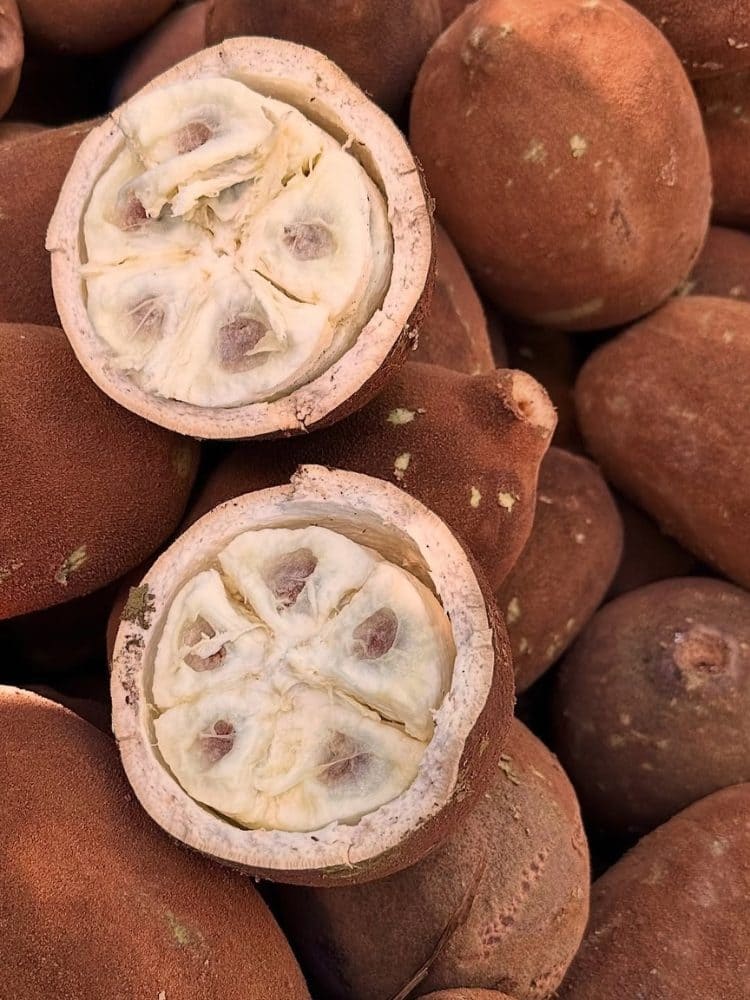 Cupuaçu fruits piled up, two of them cut open to show the white pulp and seeds