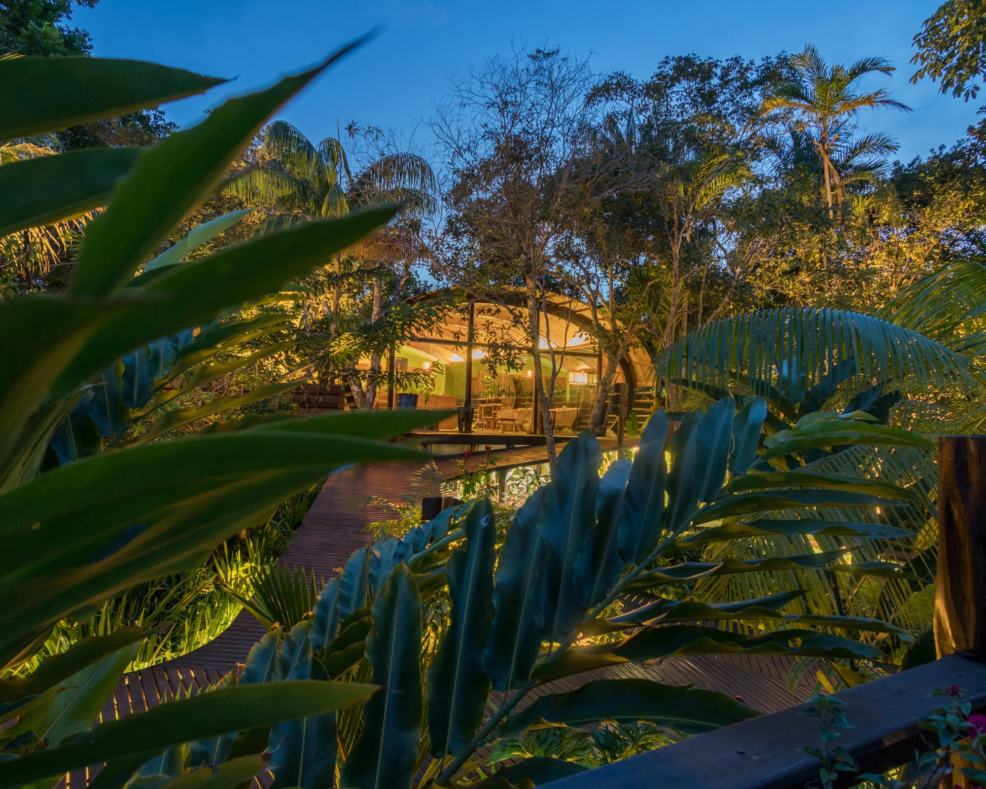 8 curiosidades sobre o Mirante do Gavião Amazon Lodge, um refúgio premiado na Amazônia