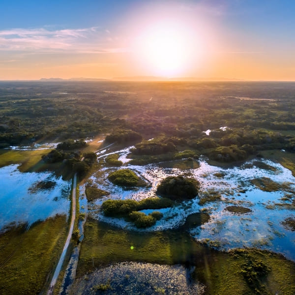 Vista aérea do Pantanal alagado ao pôr do sol, Brasil.