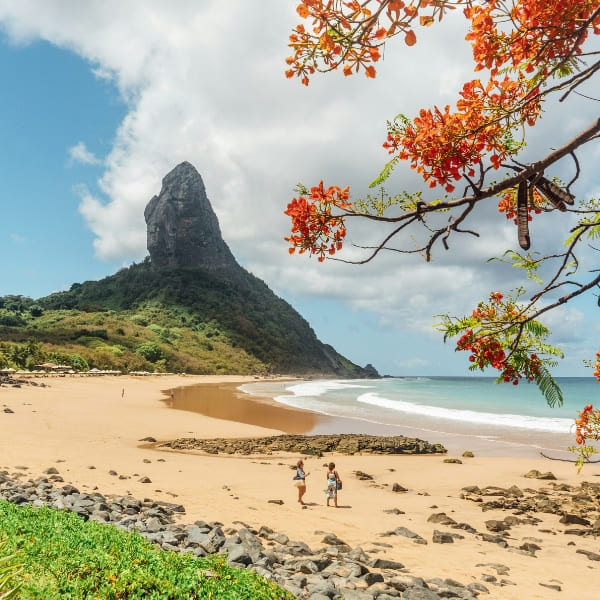 Praia da Conceição e Morro do Pico emoldurados por flores de flamboyant em Fernando de Noronha, Brasil.