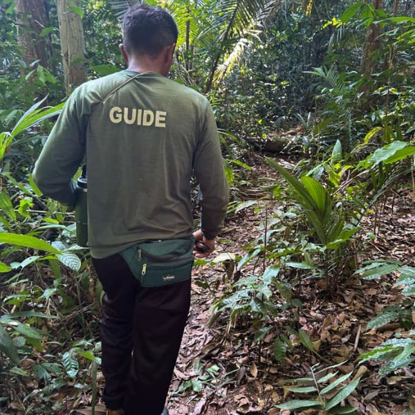 Guia local caminhando à frente por uma trilha na floresta amazônica no Brasil